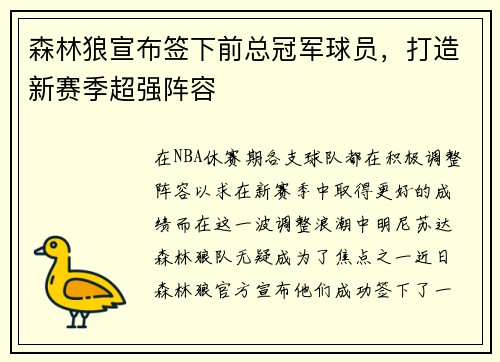 森林狼宣布签下前总冠军球员，打造新赛季超强阵容